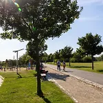 Vousata Dama *