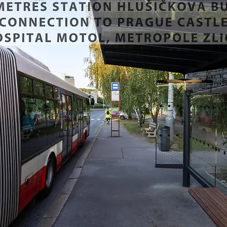 Vousata Dama - Ps3 - Parking Free