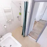 Vousatá Dáma Apartmán Praha